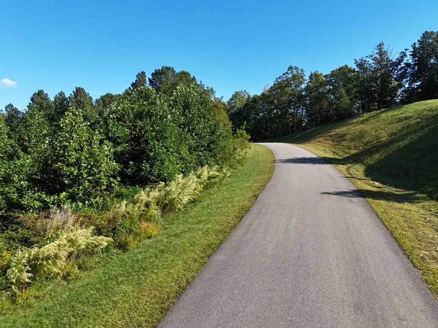 LOT55 Thirteen Hundred, Blairsville, GA 30512 - #2