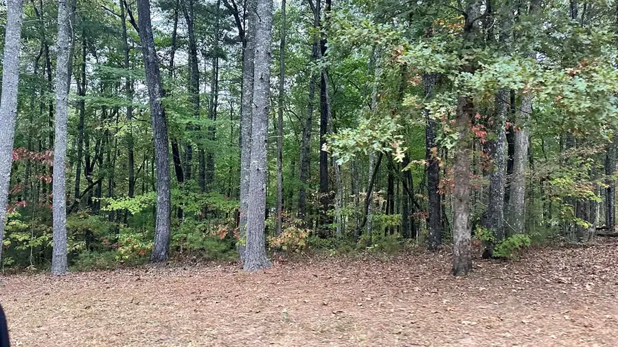 1.81 AC Nature Valley Trail, Murphy, NC 28906 - #2