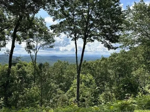 Lot 46 Utana Bluffs Trail, Ellijay, GA 30540