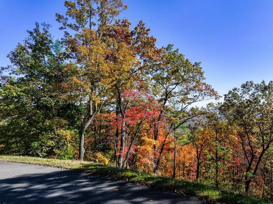 Lot 46 Utana Bluffs Trail, Ellijay, GA 30540 - #2