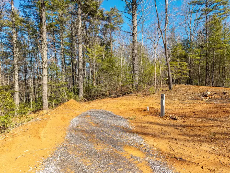 77 Big Pine Hill, Blairsville, GA 30512 - #3