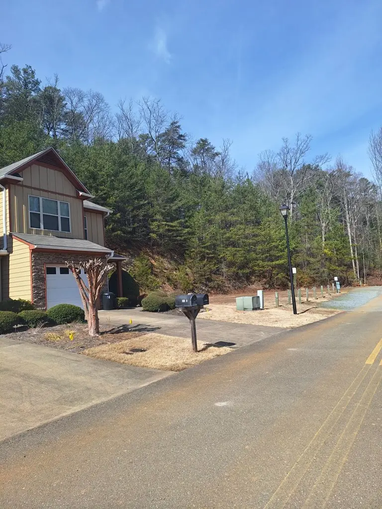 lot 123 Ridgehaven, East Ellijay, GA 30540 - #2
