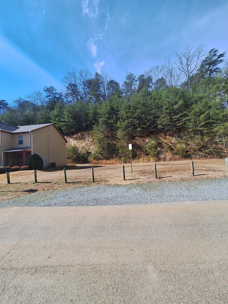 lot 123 Ridgehaven, East Ellijay, GA 30540 - #3