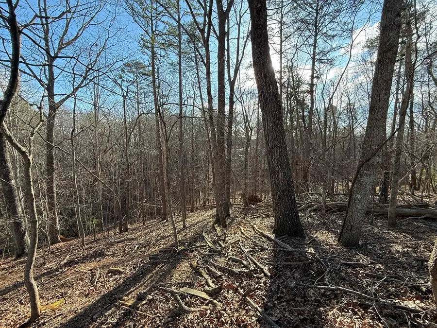 715/716 Hilary Court, Ellijay, GA 30540 - #3