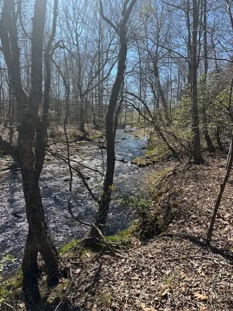 Lot 16 Bravo Way, Talking Rock, GA 30175 - #2