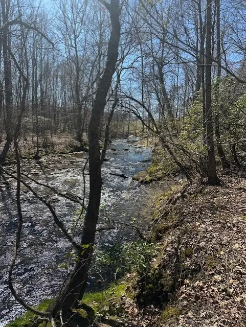 Lot 16 Bravo Way, Talking Rock, GA 30175 - #3