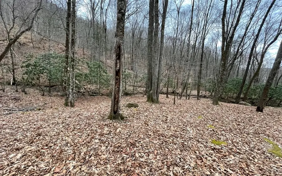 Lot 22 High Meadows, Hayesville, NC 28904 - #2