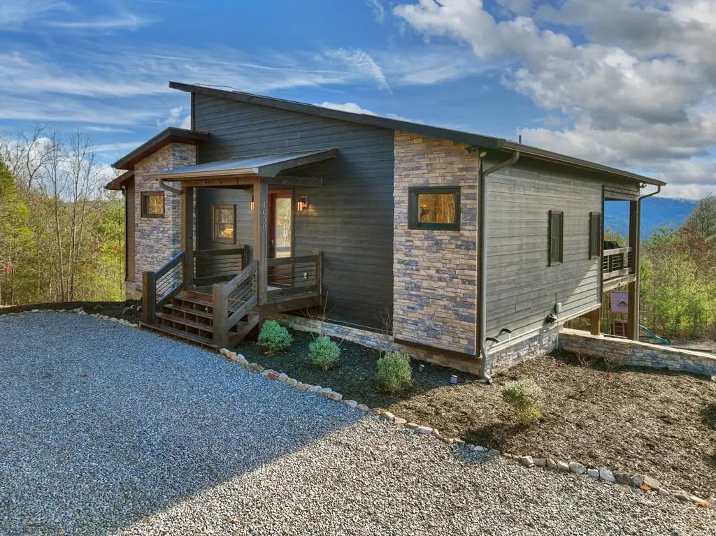 1038 Synacia Drive, Mineral Bluff, GA 30559 - #1