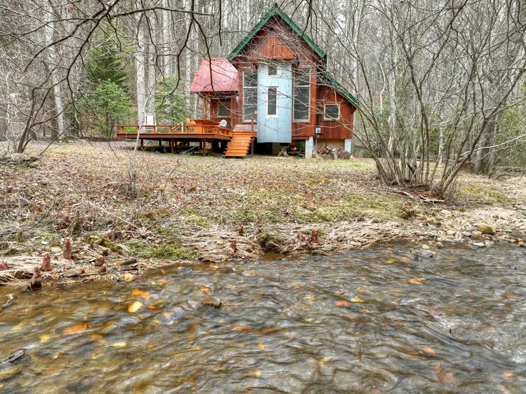 14092 Big Creek Road, Cherry Log, GA 30522 - #1