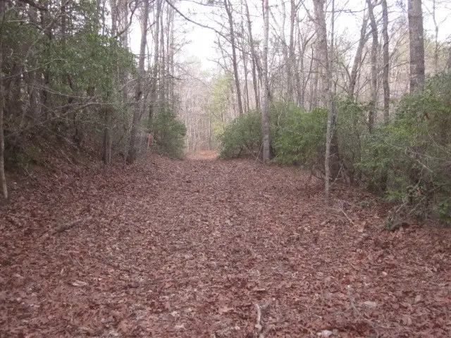 0 Sparks Way, Talking Rock, GA 30175 - #2