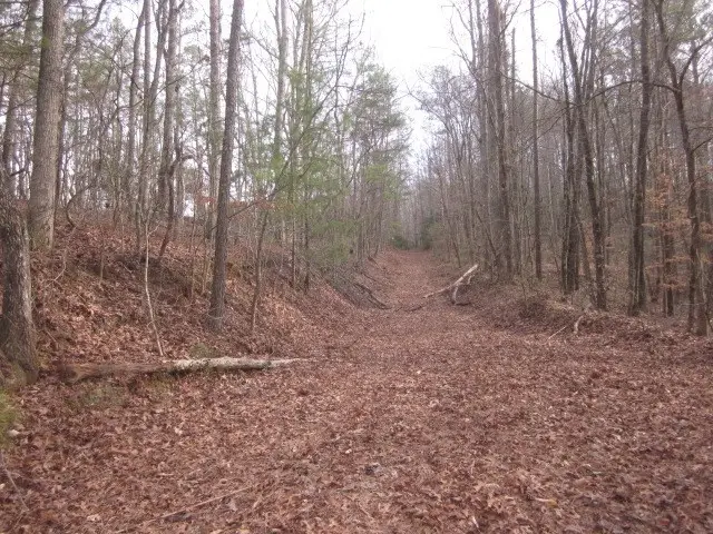 0 Sparks Way, Talking Rock, GA 30175 - #3