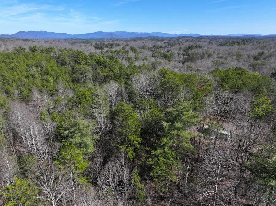 0 Meredith Drive, Turtletown, TN 37391 - #3