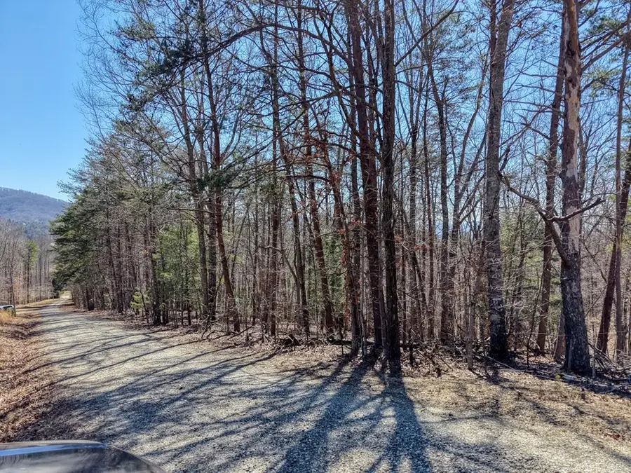 3.46 acr Smokey Hills, Blairsville, GA 30512 - #3