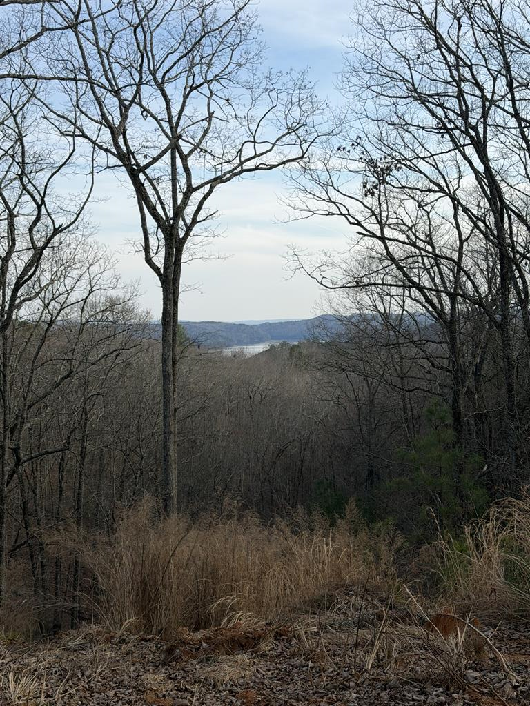 439 Buck Creek Road, Ellijay, GA 30540 - #1