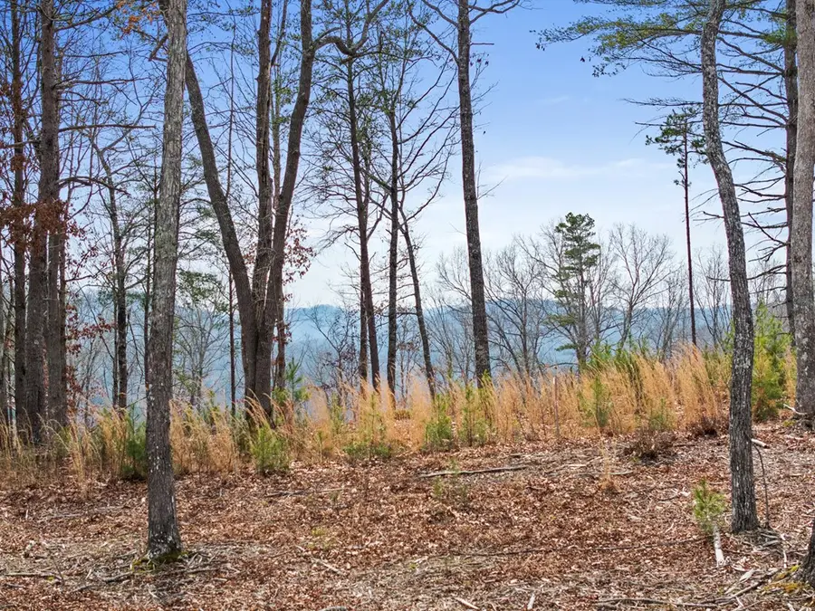 Address Withheld By Seller, Morganton, GA 30560 - #3