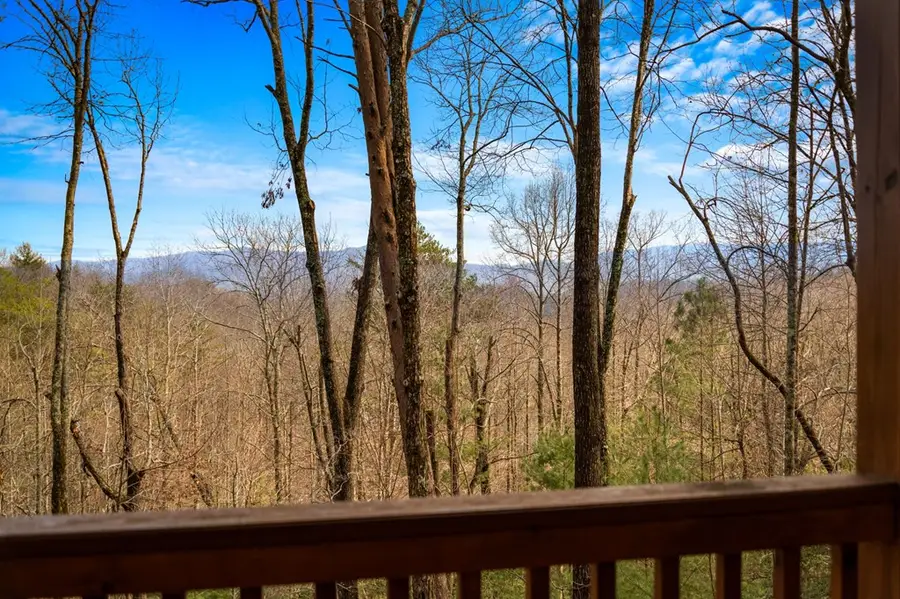 275 N Moreland Drive, Cherry Log, GA 30522 - #2