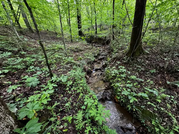 000 Fisher Creek Road, Talking Rock, GA 30175