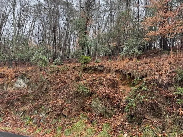 Lot 171 Beaver Lake Drive, Ellijay, GA 30540 - #2