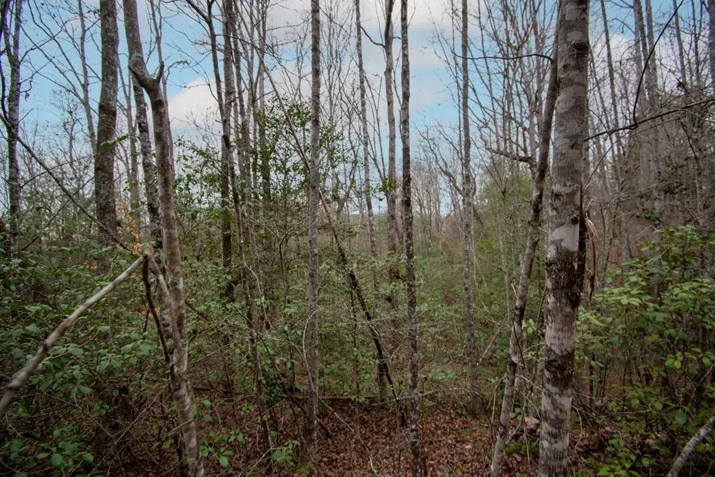 Lot 6 Posey Place, Murphy, NC 28906 - #1