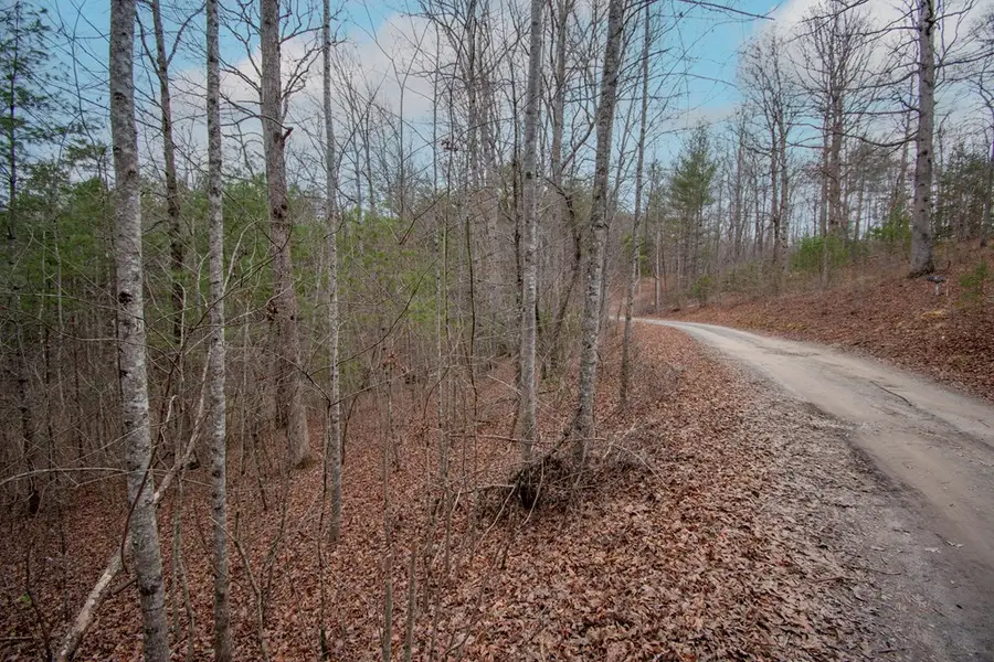 Lot 38 Posey Place, Murphy, NC 28906 - #2