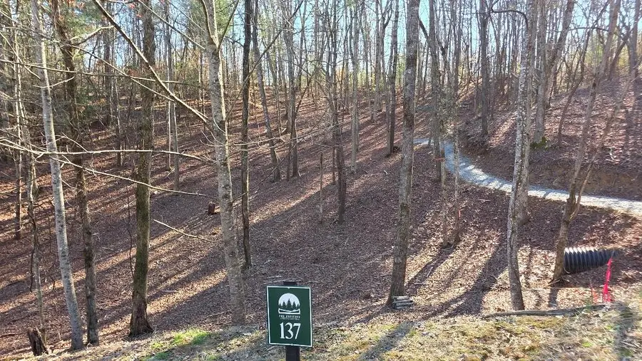 137 Red Oak Trail, Ellijay, GA 30540 - #2