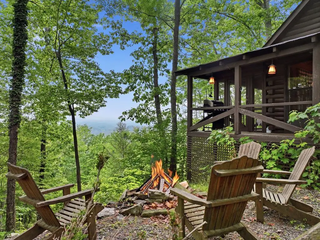 79 Laurel Ridge Way, Cherry Log, GA 30513 - #1
