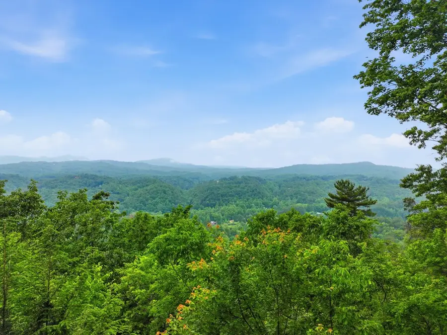 79 Laurel Ridge Way, Cherry Log, GA 30513 - #3