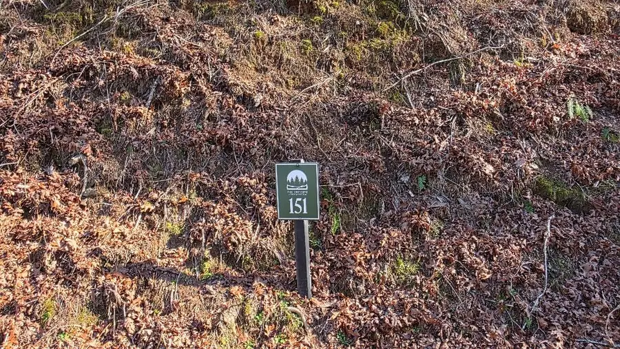 151 Rhondas Way, Ellijay, GA 30540 - #2