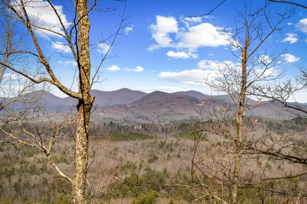 Lot 20 Raven Ridge Circle, Mineral Bluff, GA 30599