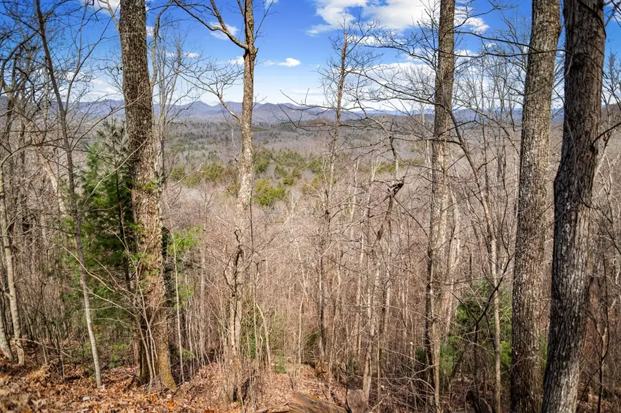 Lot 20 Raven Ridge Circle, Mineral Bluff, GA 30559 - #3