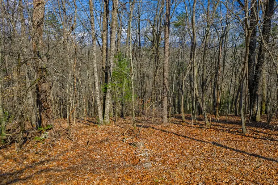Lot 55 Timberwalk Drive, Ellijay, GA 30540 - #3