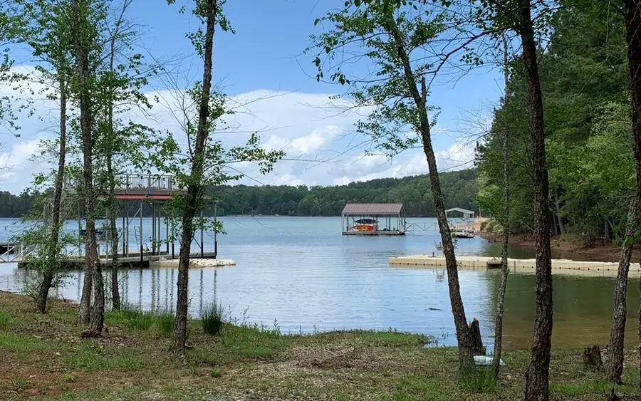 1250 Chapman Ford Road, Blairsville, GA 30512 - #3