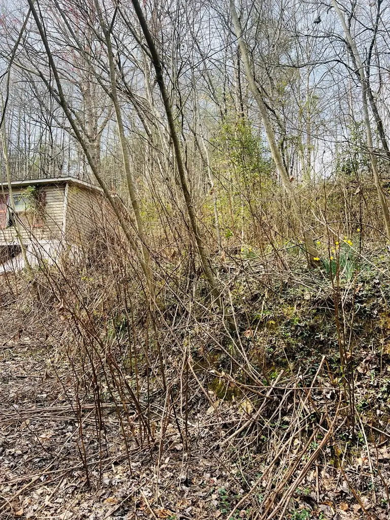 1659 Joe Brown Hwy, Murphy, NC 28906 - #3