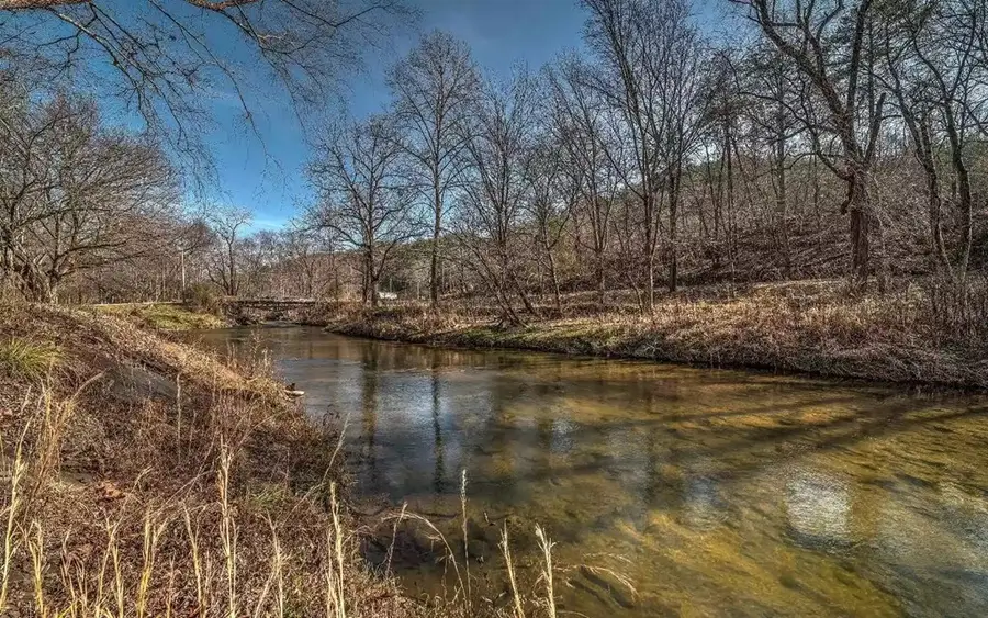 141 Mountain Rivers Road, Mineral Bluff, GA 30559 - #3