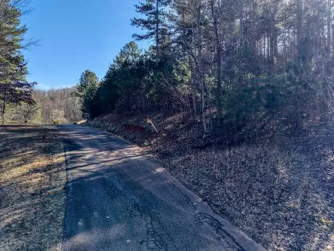 Lot 28 The Hills At Queens Gap, Blairsville, GA 30512 - #1