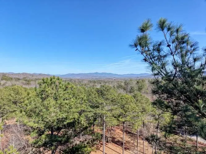 Lot 28 The Hills At Queens Gap, Blairsville, GA 30512 - #2