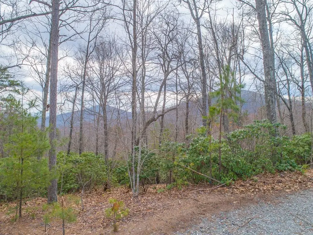 Lot 33 Laurel Brooke S/d, Blairsville, GA 30512 - #1