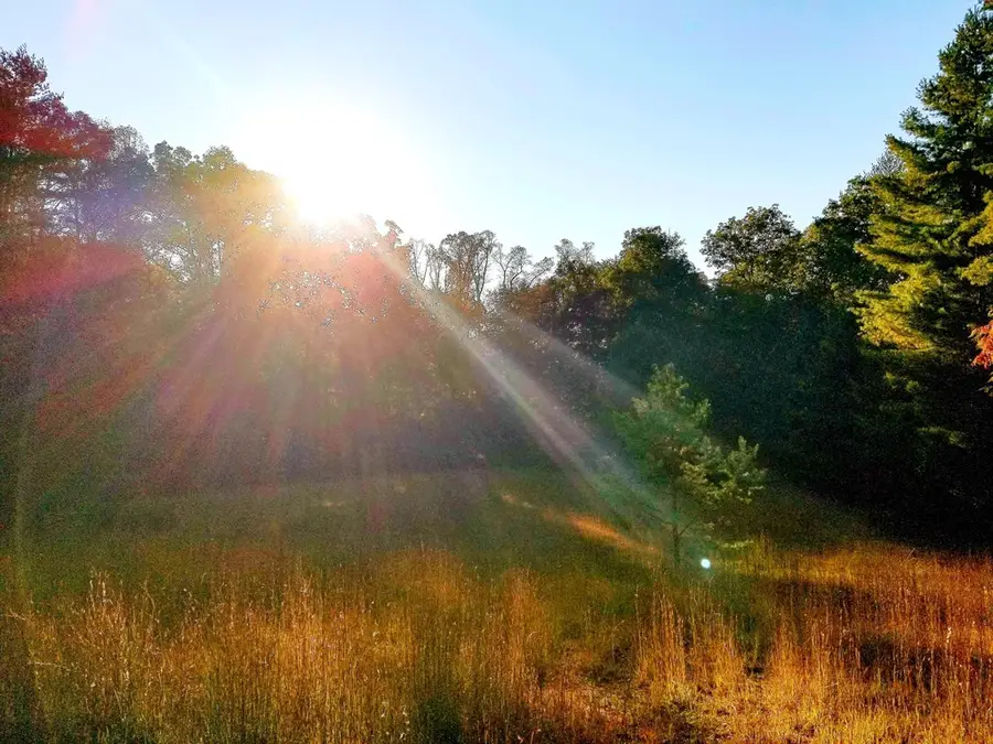 Lot 5 Creek Hollow Lane, Blairsville, GA 30512 - #3