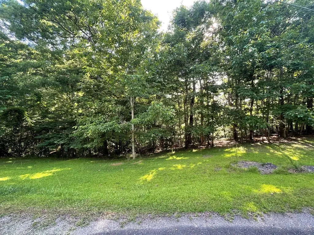 Lot 10 Olivia Lane, Ball Ground, GA 30107 - #1