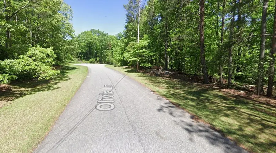 Lot 10 Olivia Lane, Ball Ground, GA 30107 - #2