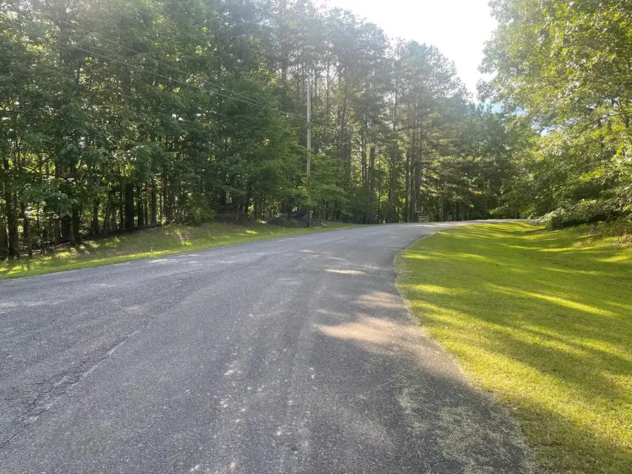 Lot 10 Olivia Lane, Ball Ground, GA 30107 - #3