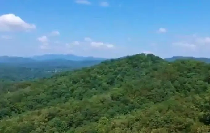 39 Moon Howler Drive, Murphy, NC 20906 - #3