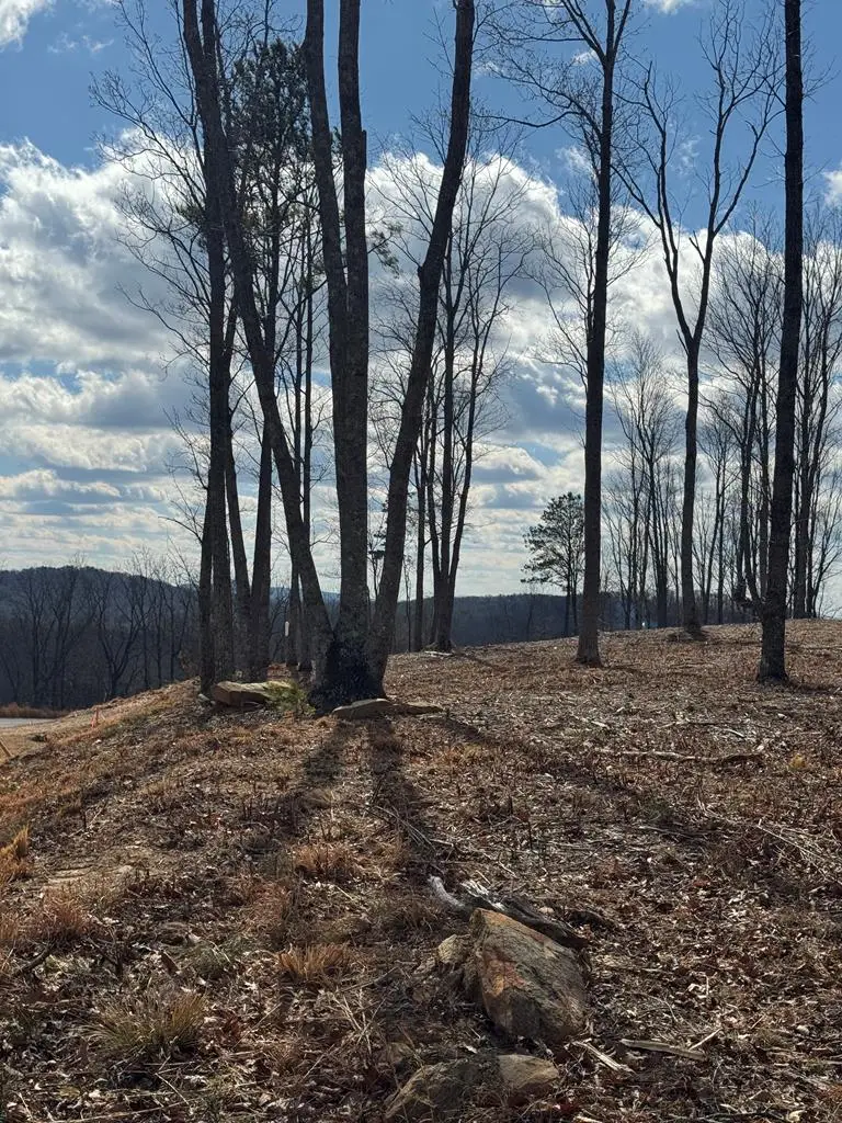 0 Highgrove Drive, Talking Rock, GA 30175 - #3