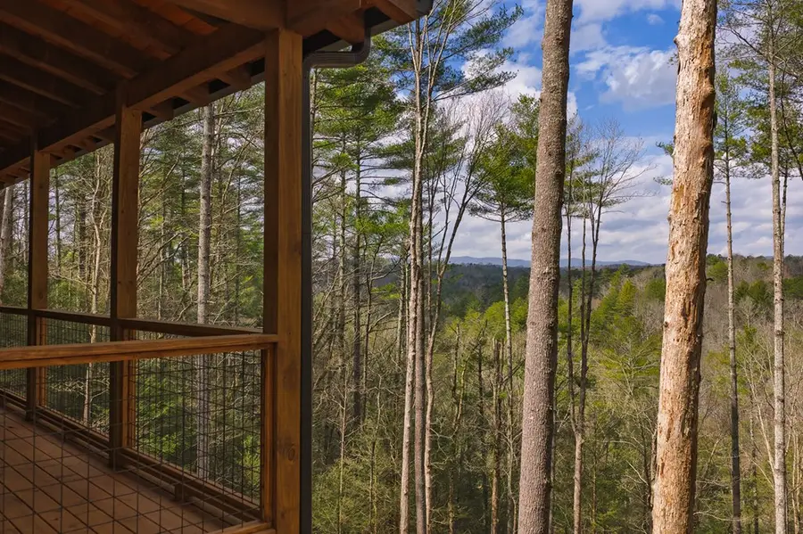 121 Indian Lane, Ellijay, GA 30540 - #3