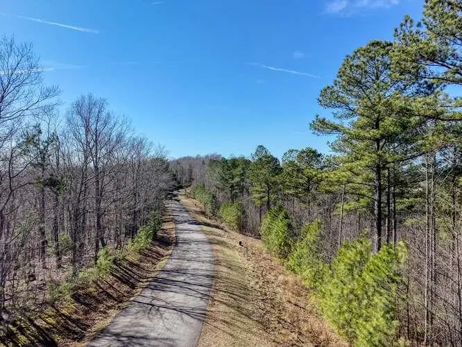 Lot 61 Thirteen Hundred, Blairsville, GA 30512 - #2