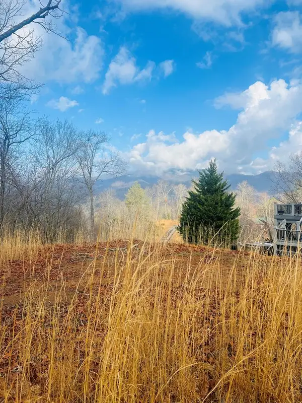 00 Aster Trail, Marble, NC 28905