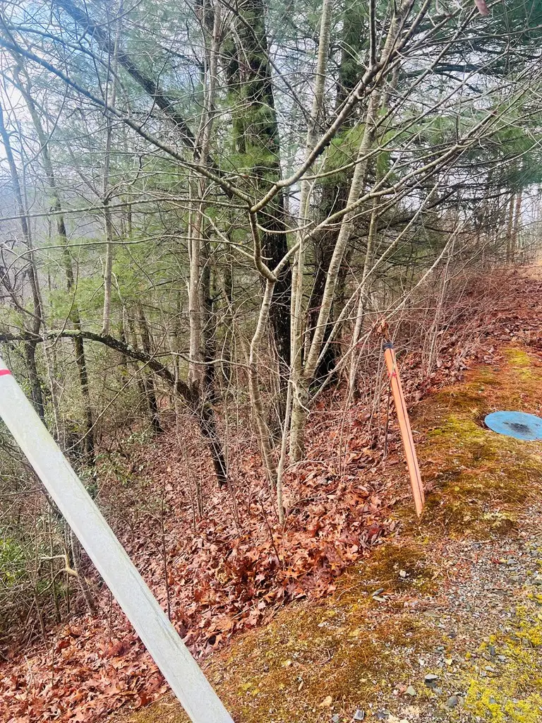 00 Aster Trail, Marble, NC 28905 - #2