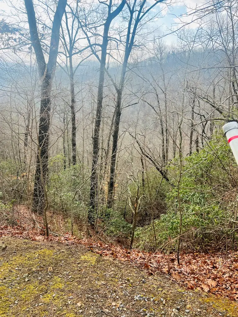 00 Aster Trail, Marble, NC 28905 - #3