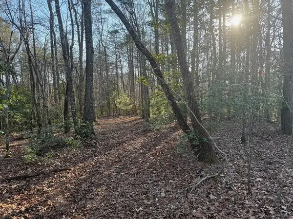 Lot 3 Willow Ridge, Warne, NC 28909
