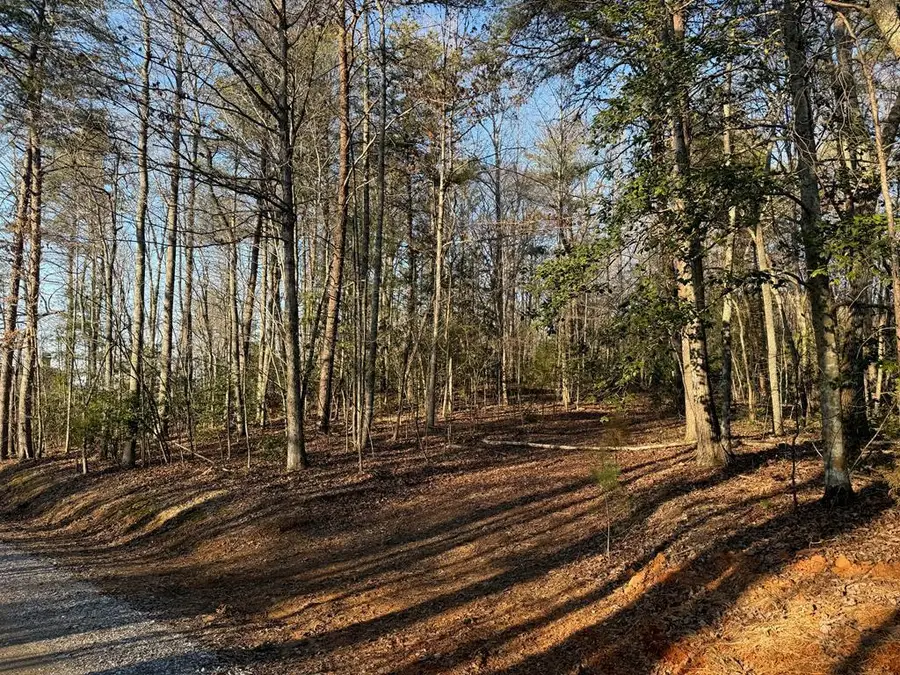 Lot 3 Willow Ridge, Warne, NC 28909 - #3
